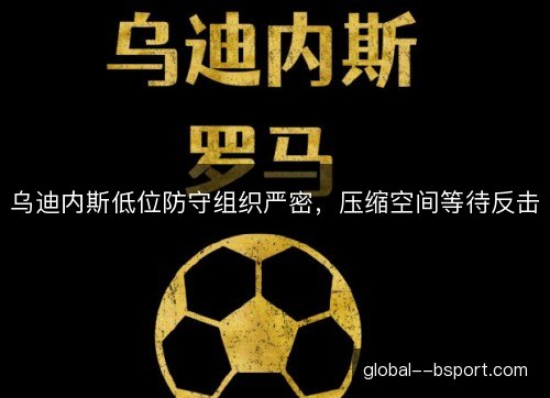 乌迪内斯低位防守组织严密，压缩空间等待反击